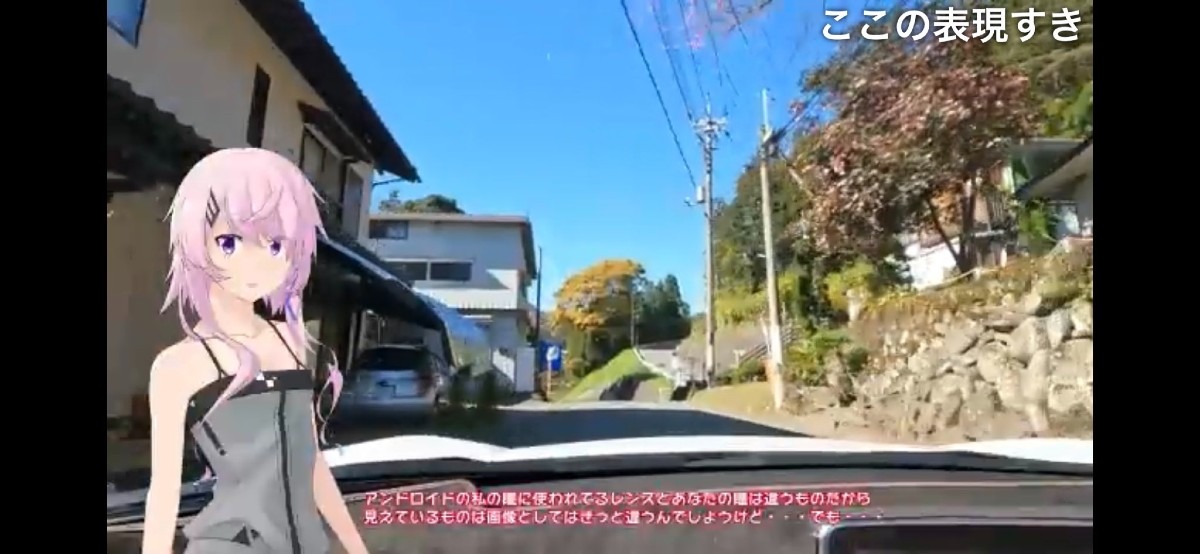 とむ猫[フィーちゃん投稿祭]